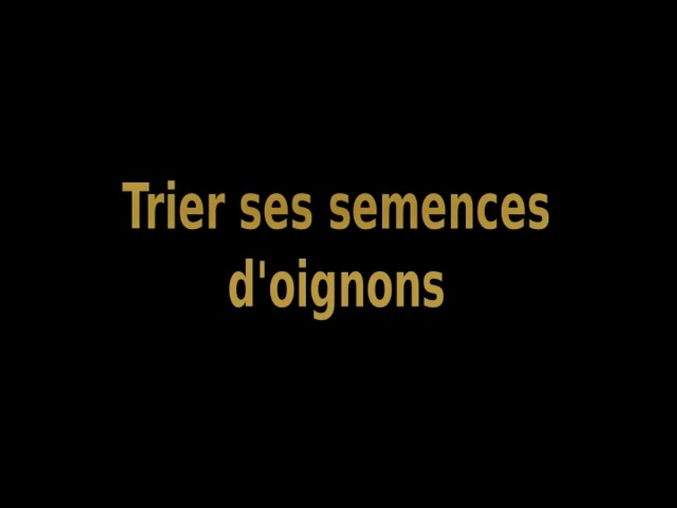 Trier_ses_semences_d-oignons