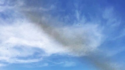 Un impressionnant nuage de moustiques