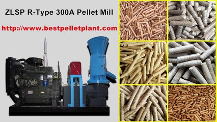 ZLSP R-Type 300A Pellet Machine