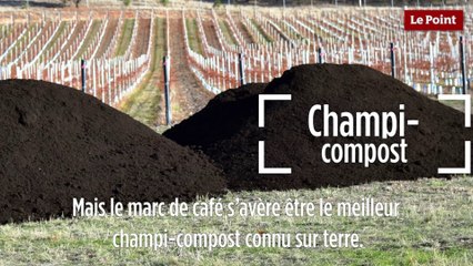 Le biomimétisme selon Idriss Aberkane #14 : Le marc de café