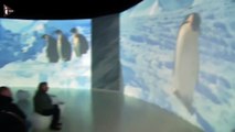 Antarctica, l'exposition immersive au pays des glaces-H3lSGI1WiQs