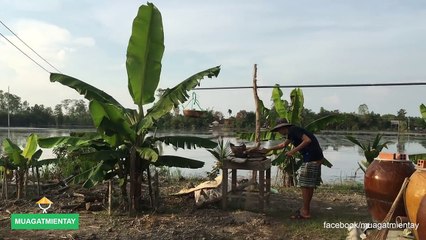 Ếch xào ngon (000324.860-000406.268)