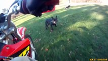 Angry Dogs Attack Motorcyclists _ Bikers Helping & Rescues Dogsdsa
