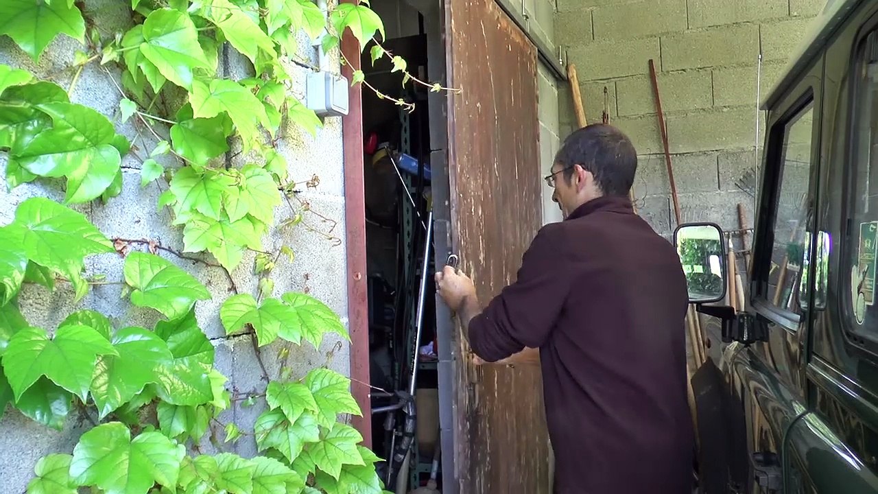 Hautes-Alpes : épamprage et ébourgeonnage dans les vignes après les gelées du printemps