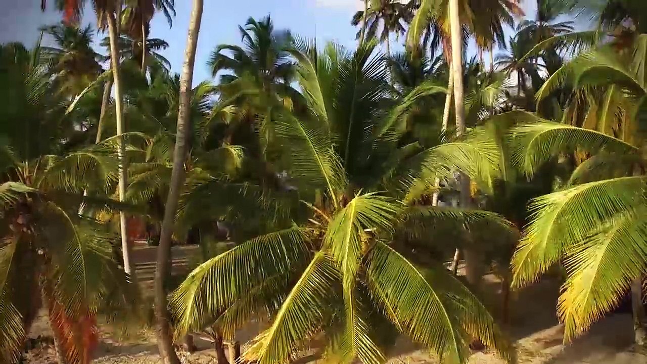 Panama Luftaufnahmen