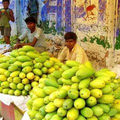 യോഗി മാങ്ങയും യുപിയില്‍ റെഡി #AnweshanamIndia  Subscribe to Anweshanam today: https://goo.gl/WKuN8s  Please Like our Pag