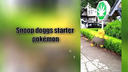 10 lustige Pokémon Go Bilder!-Ei_GiKR-APQ