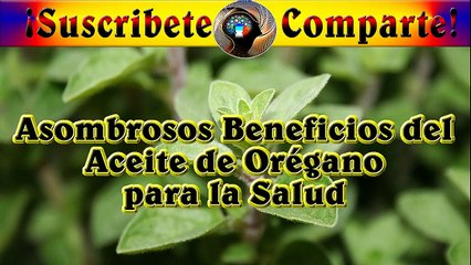 Asombrosos Beneficios del Aceite de Oregano para la Salud