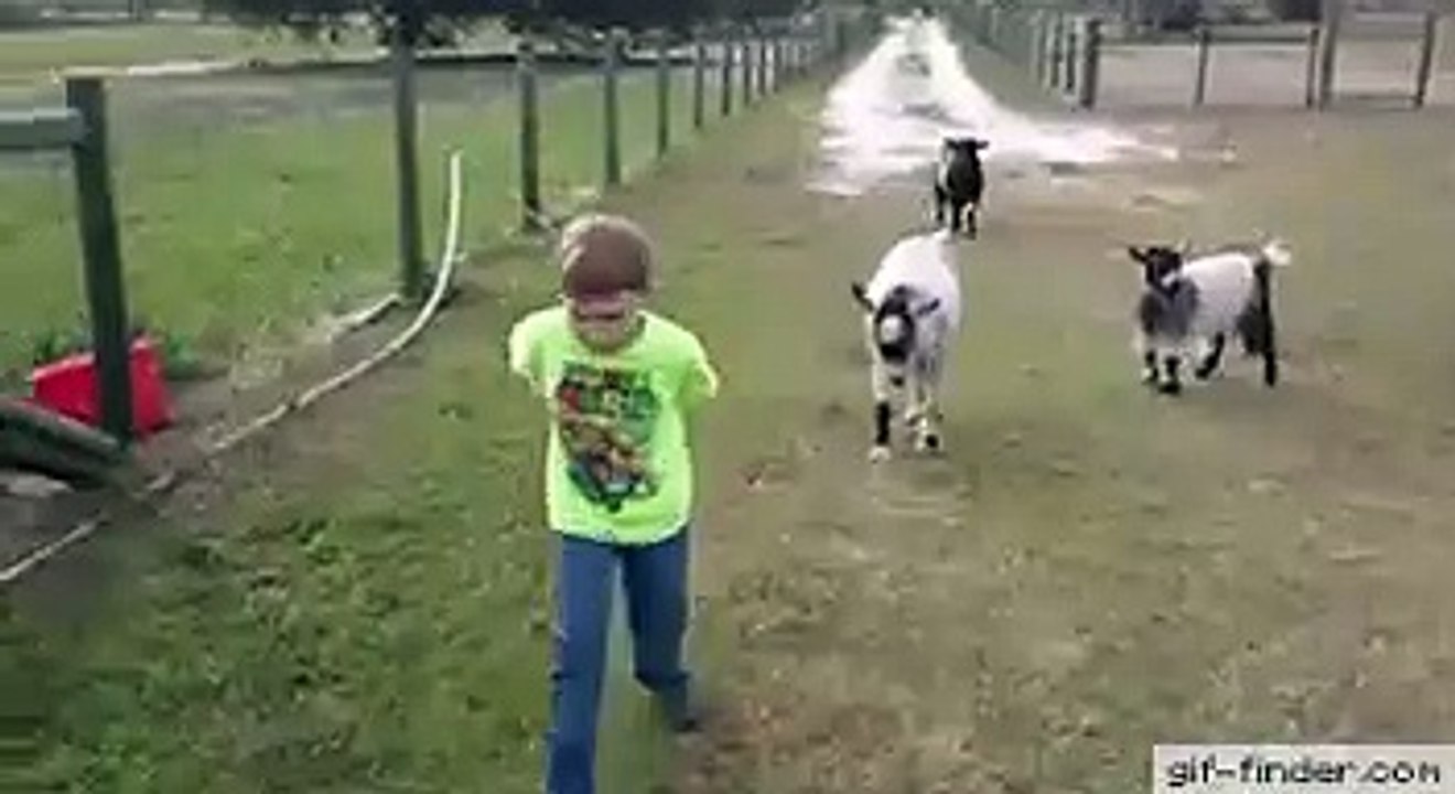 Funny Got