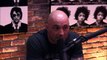 Joe Rogan and Gavin McInnes on Milo Yiannopoulos Controversy