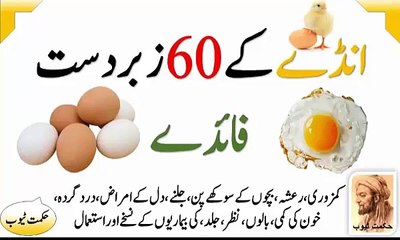egg benefits egg benefits in urdu hindi egg ke f