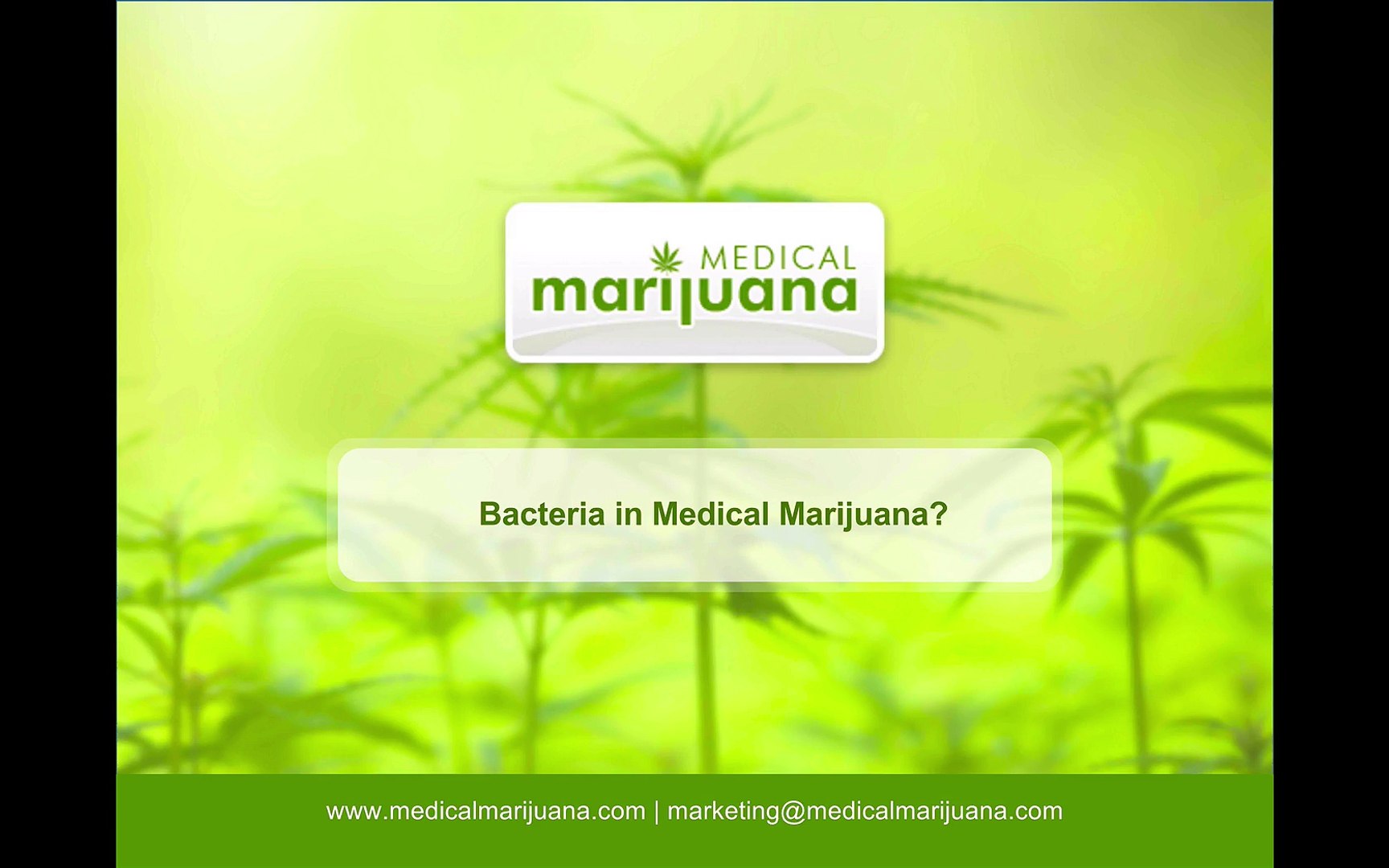 Bacteria in Medical Marijuana?