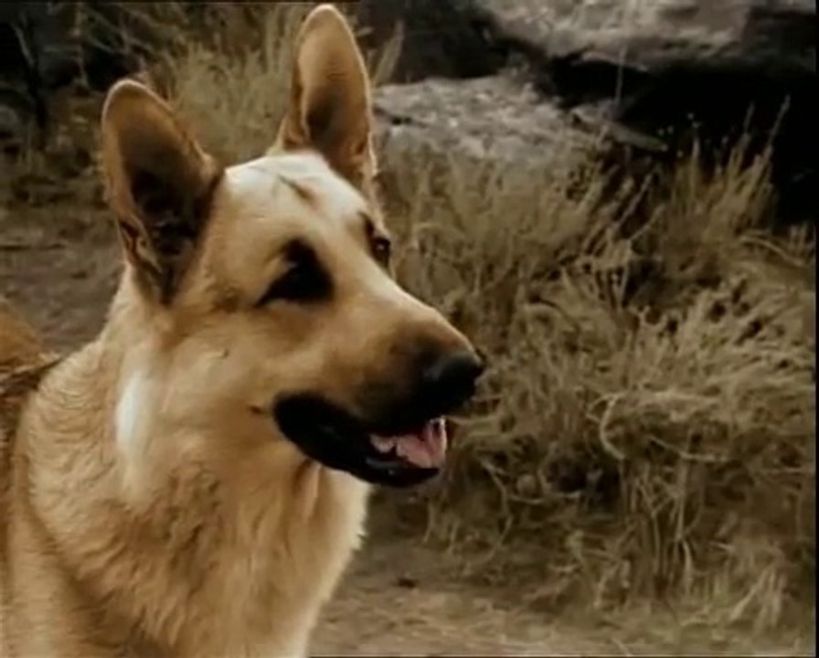 Rintintin la fille du général