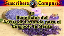 15 Beneficios del Aceite de Lavanda para el Cuerpo y la Mente