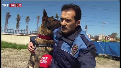 Uyuşturucu operasyonlarının gözdesi 'narkotik köpekleri'