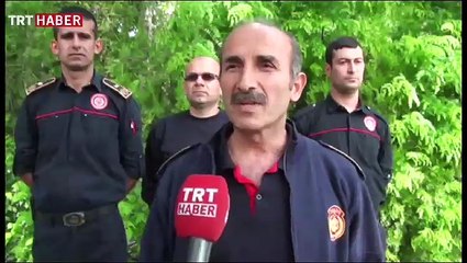 Ağaç budamak istedi, ağaçta mahsur kaldı