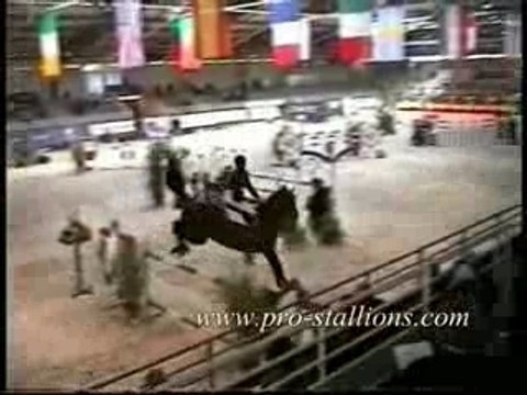 Diamant de Sémilly - Eric Levallois