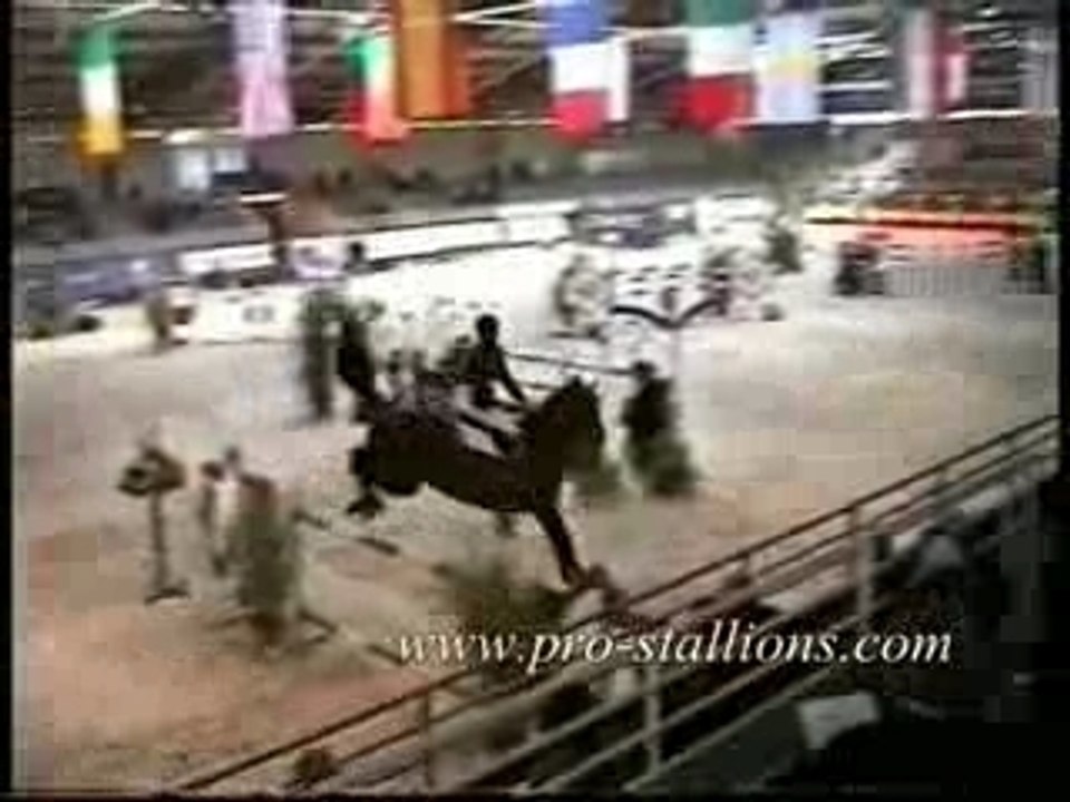 Diamant de Sémilly - Eric Levallois