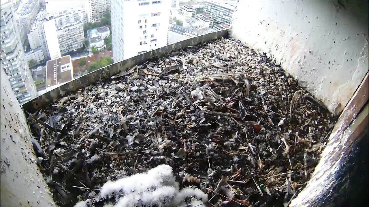 A l'abri de l'averse