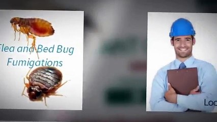 Professional Pest Control Services throughout Manchester