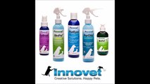 How to Remove Pet Tear Stains Naturally with PurEyes