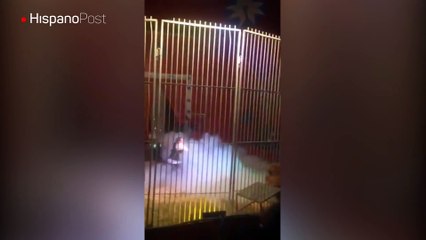 Fueron al circo a pasar un buen rato y presenciaron un película de horror