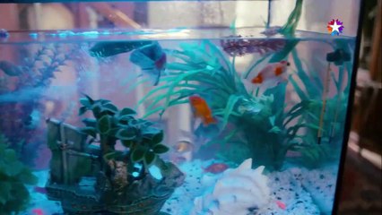 Kardeş Payı 3.Bölüm (Bipsiz Versiyon) part 1/2