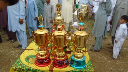 naiza bazi pindora hardo