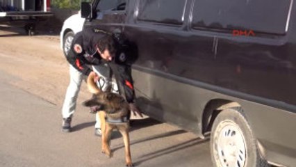 Kilis'te, Huzur Operasyonu