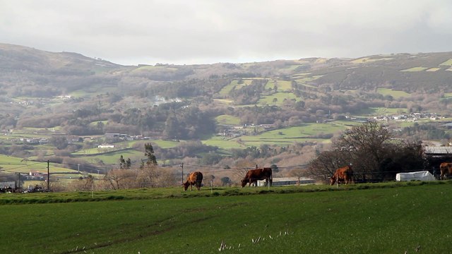 Samsung Galaxy S8, Huawei P10, Nokia 3310