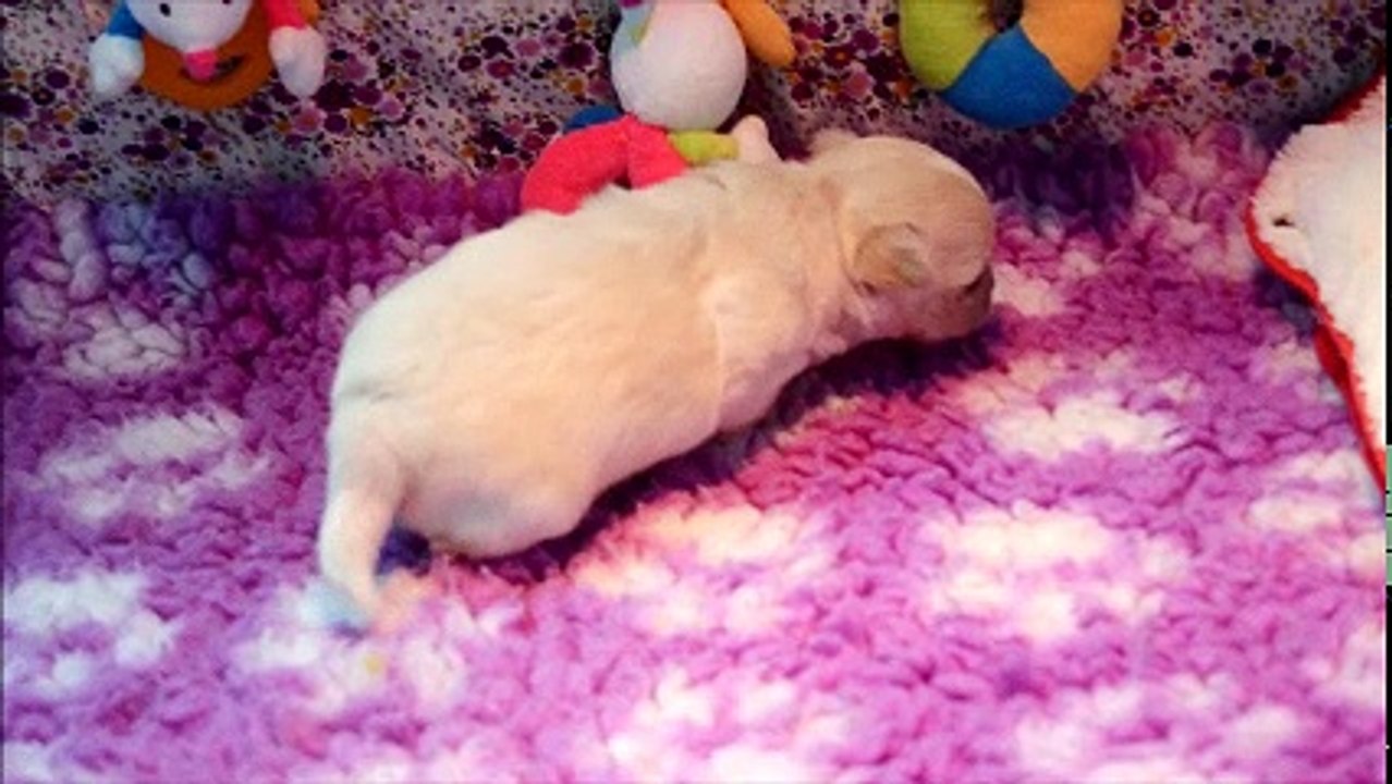 Nelson, 23 jours, fait ses 1ers pas