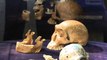 L'Homo naledi, 