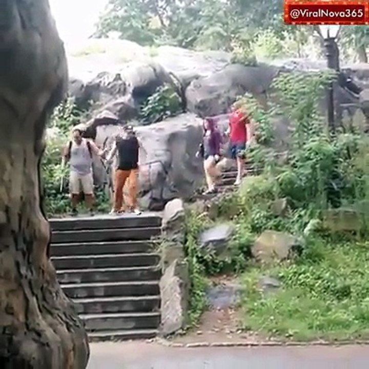Very Funny Video