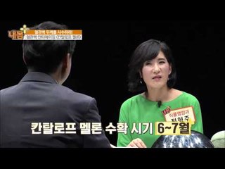 혈관벽 안티에이징! '칸탈로프 멜론' [내 몸 사용설명서 플러스] 5회 20160508