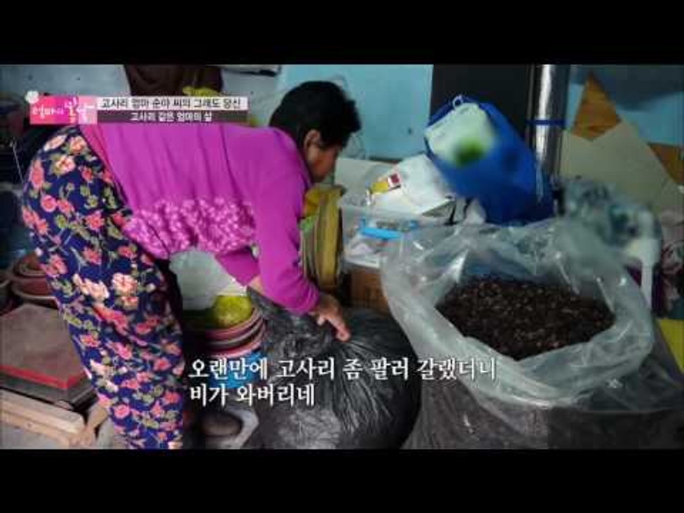 비 때문에 시장에 못 가 슬픈 엄마 [엄마의 봄날] 41회 20160509