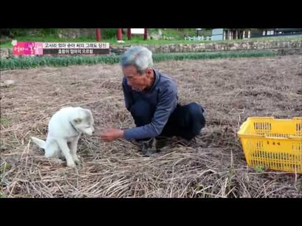 보이지 않는 남편의 오른팔... [엄마의 봄날] 41회 20160509