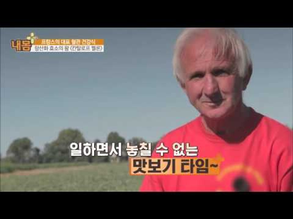 항산화 효소의 왕 '칸탈로프 멜론'에 대해 [내 몸 사용설명서 플러스] 5회 2016...