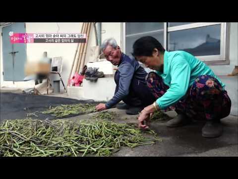 고사리 삶기의 달인! [엄마의 봄날] 41회 20160509
