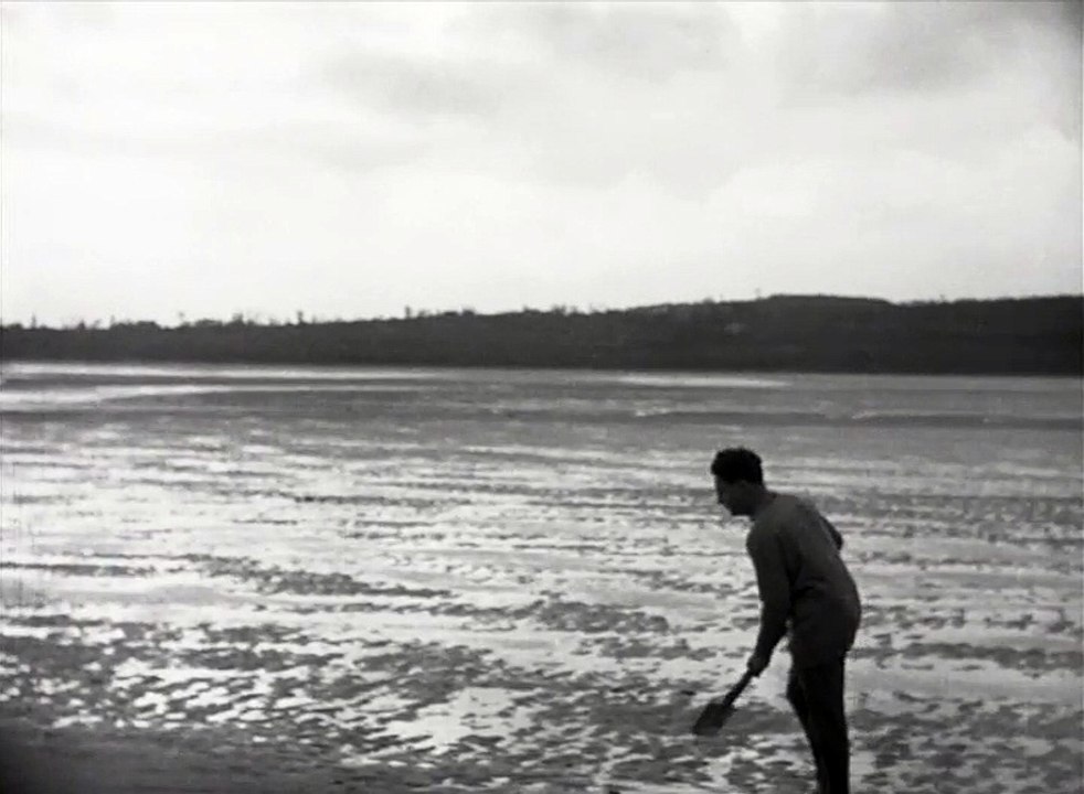 Oursins & Les Oursins