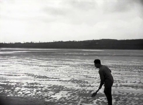 Oursins & Les Oursins