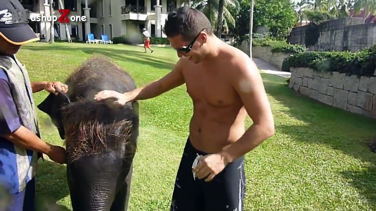 Cute Baby Elephant - A Cute And Funny Baby Elephant Videos Compilation -- NEW HD