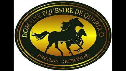 Domaine de Quérélo à GUERANDE 44350