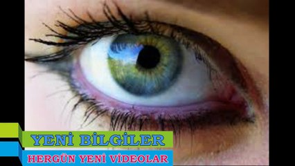 Göz Sagliginiza Yeteri Kadar Önem Veriyor musunuz