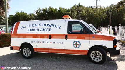 Day Trip to the Turtle Hospital in the Florida Keys