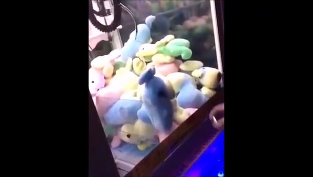 Comment gagner à tous les coups une peluche aux jeux de pinces !