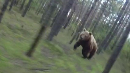 VTT - Un cycliste poursuivi par un ours dans la forêt !!