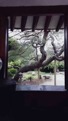 170508 Tour Avatar Day6 Insta Stories 2