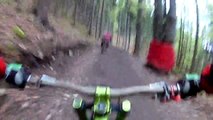 Deux cyclistes VTT ont croisé un ours brun dans la forêt en pleine descente