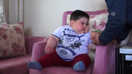 1,5 Yaşında, 32 Kilo Ağırlığında