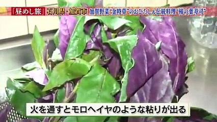 昼めし旅 2016年10月17日 part 2/2